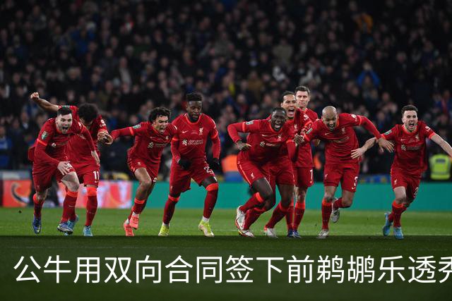 公牛用双向合同签下前鹈鹕乐透秀，他还能重新证明自己吗？